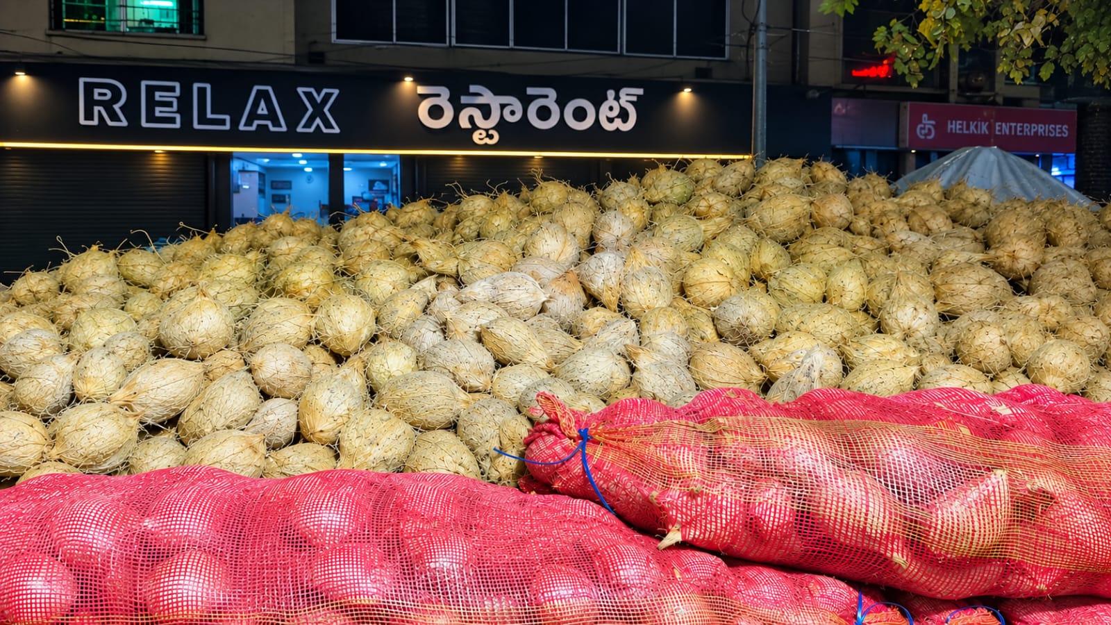 Coconuts
