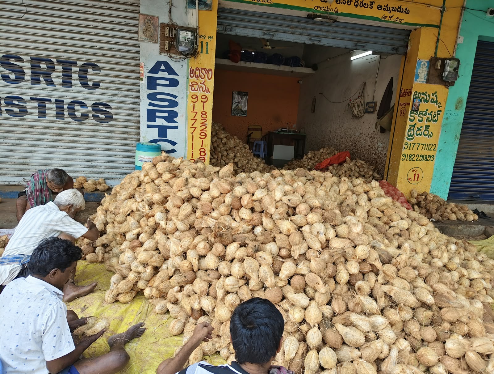Coconuts